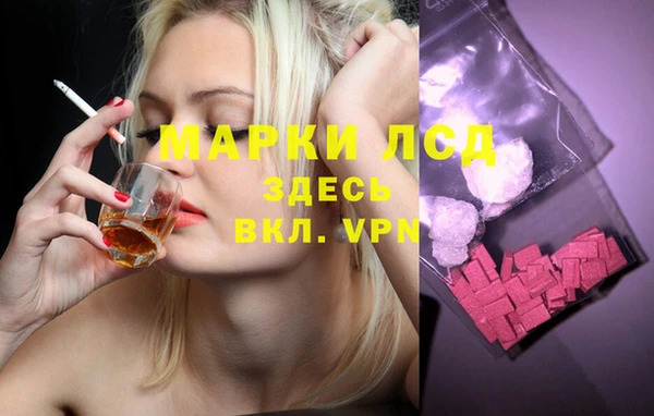 прущая мука Дмитриев
