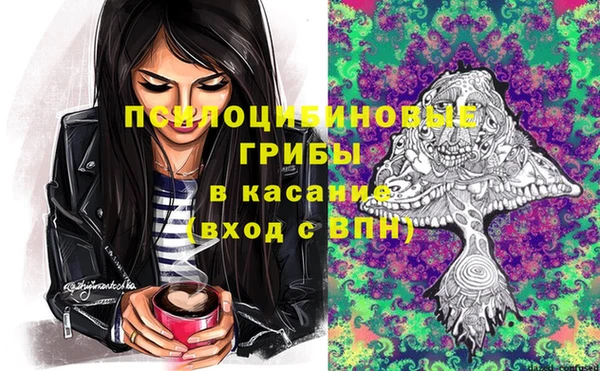прущая мука Дмитриев