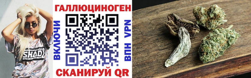 Купить  Гулькевичи  Псилоцибиновые грибы мицелий 
